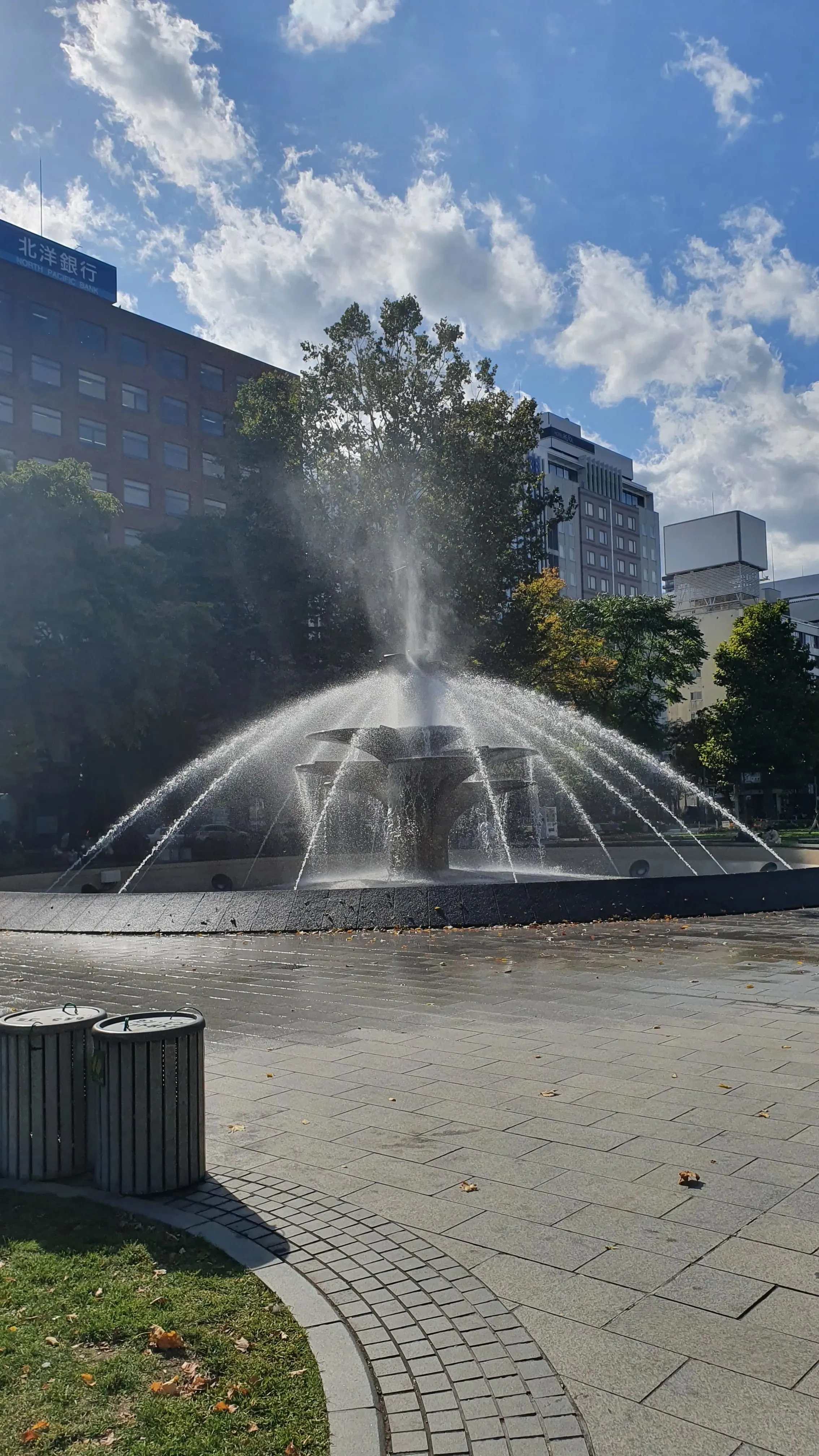 大通公園の写真