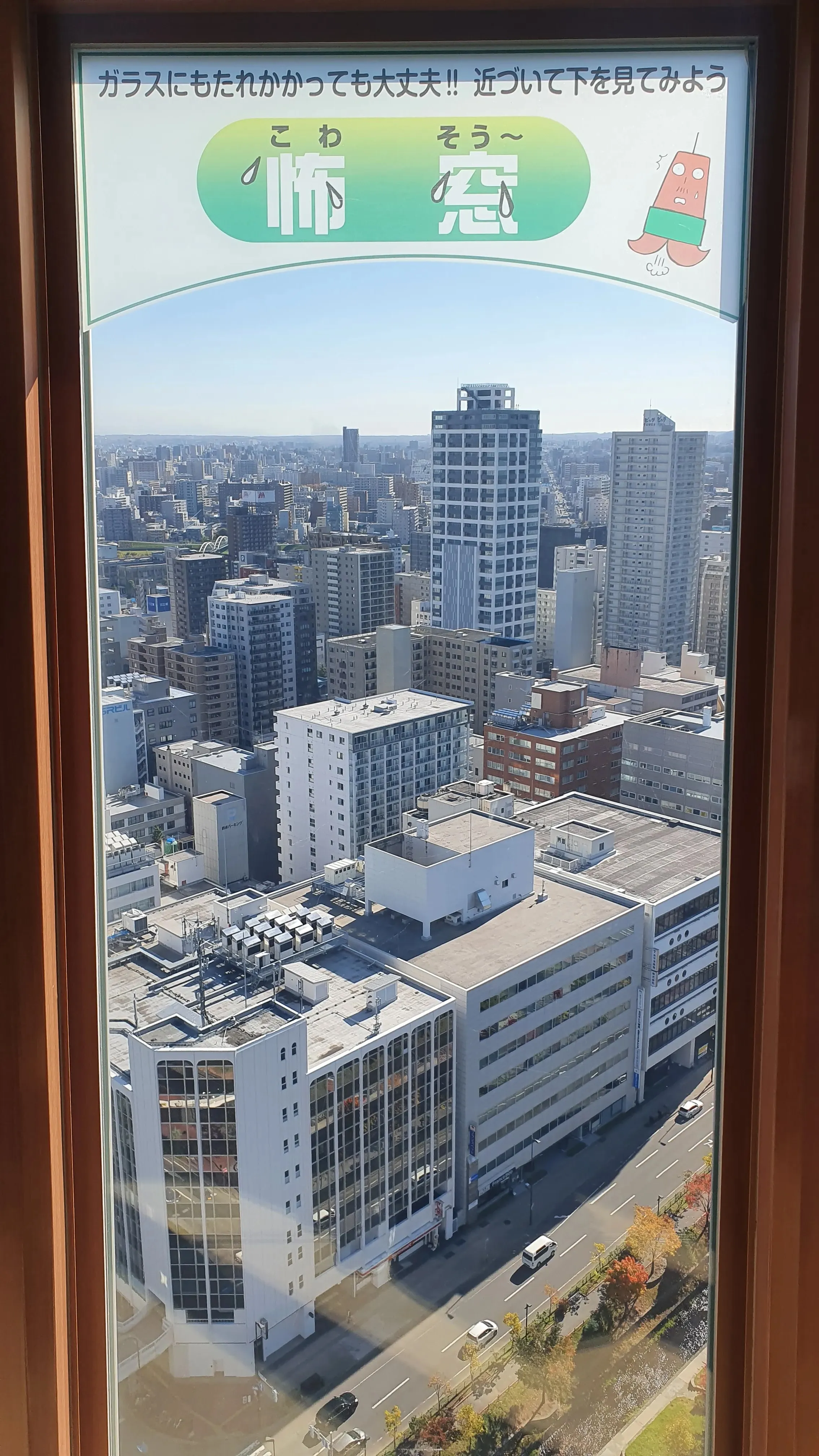 テレビ塔の展望台からの風景写真2枚目