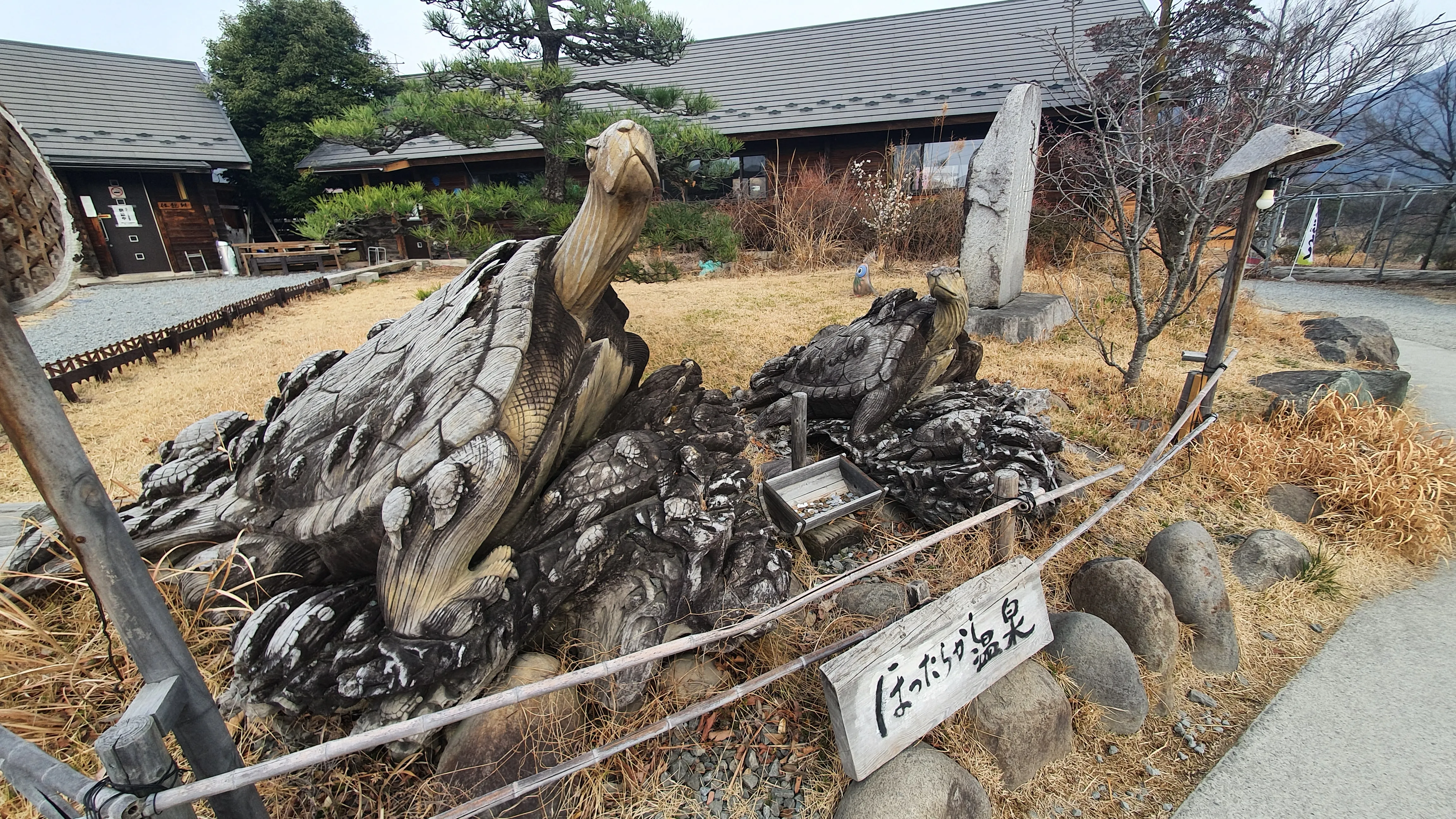 木彫りの亀たちの写真1枚目