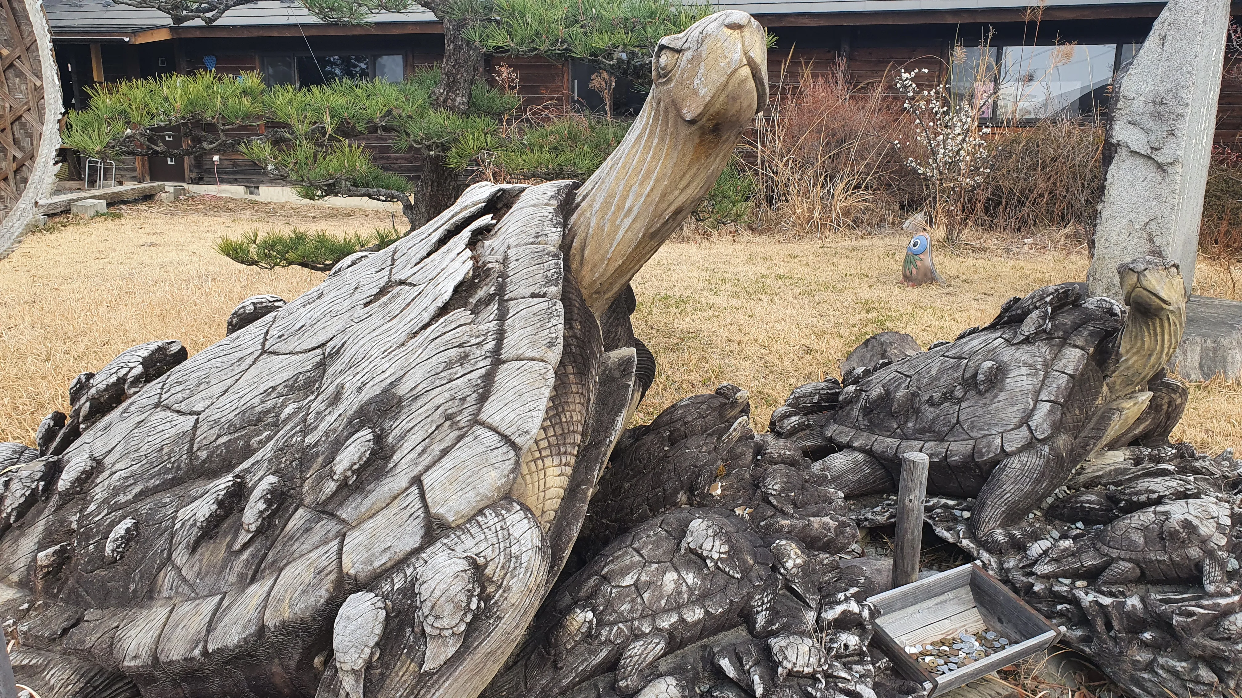 木彫りの亀たちの写真2枚目