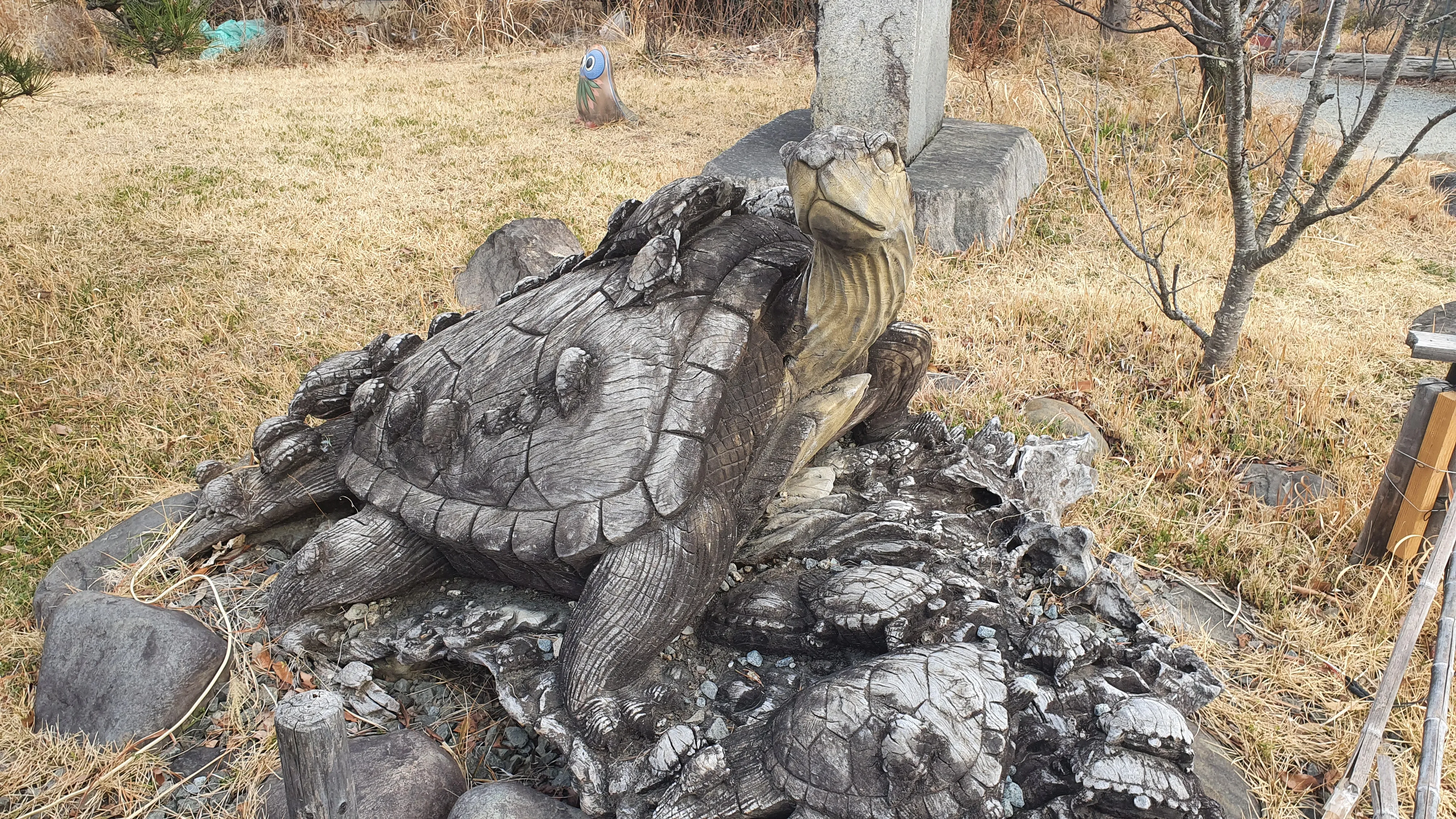 木彫りの亀たちの写真3枚目