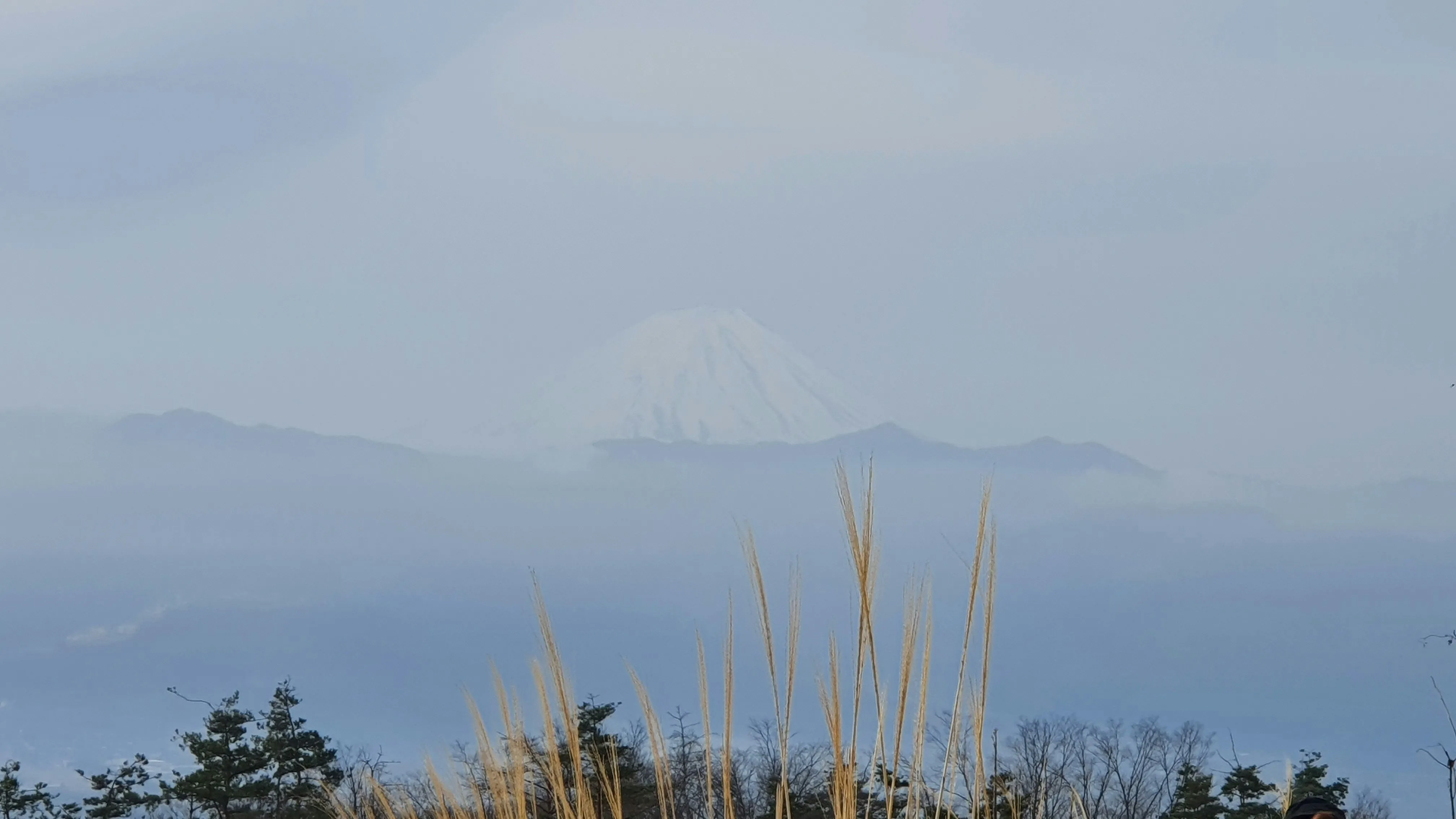 富士山の写真1枚目