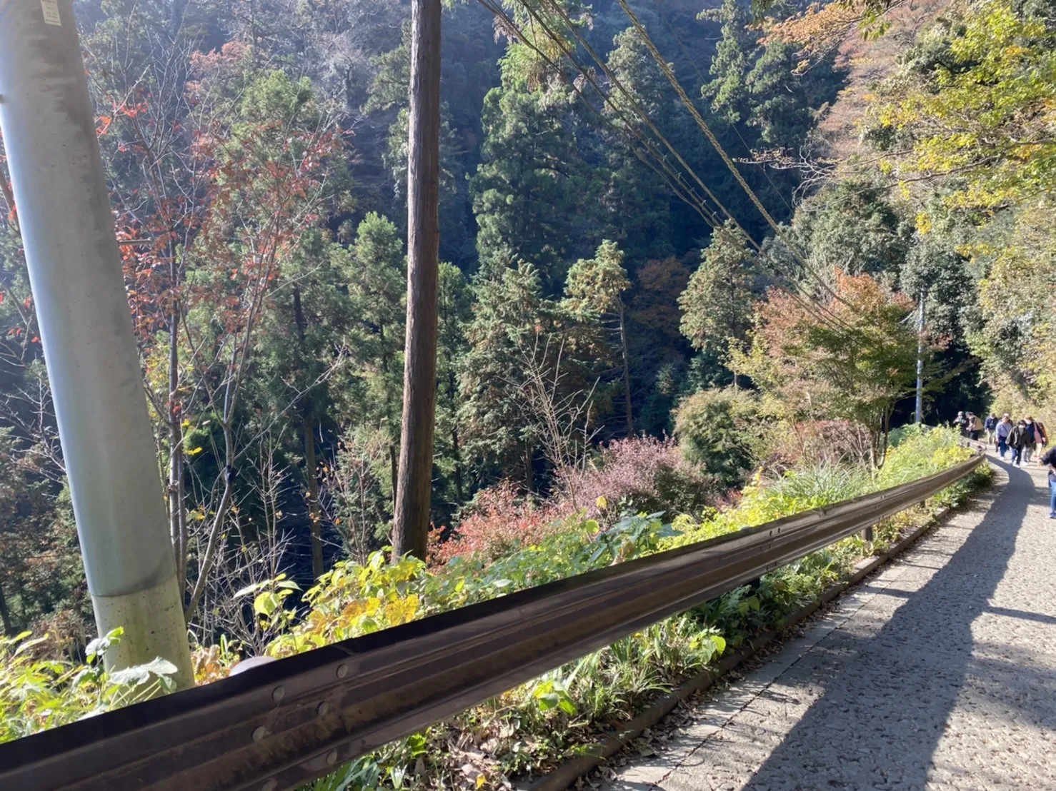 高尾山を登っている途中に撮影した1号路の写真1枚目