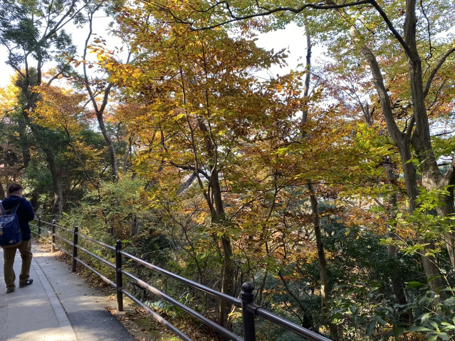 高尾山を登っている途中に撮影した1号路の写真2枚目