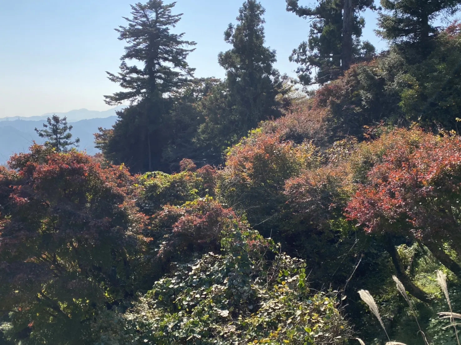 1号路の写真5枚目 - 休憩エリアからの眺めの写真