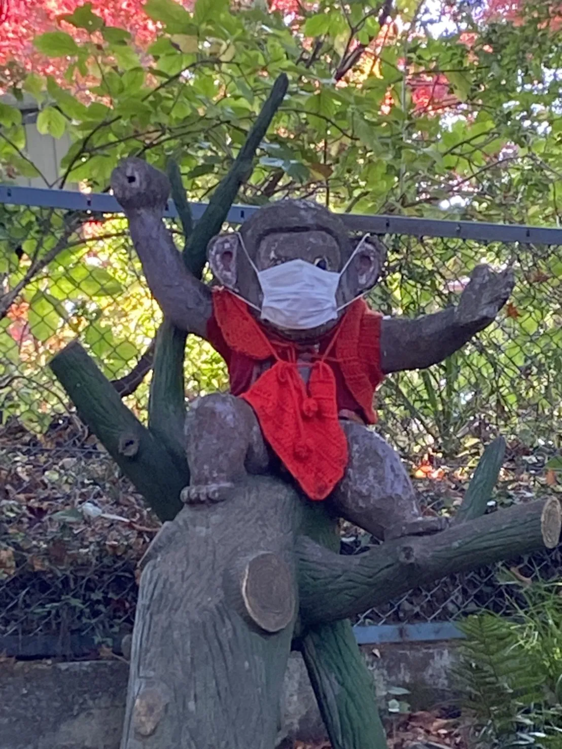 マスクをつけたコロナ対策した猿の像🐵