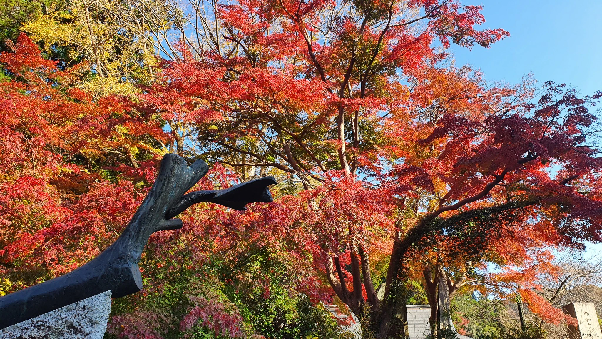 高尾山紅葉のアイキャッチ画像